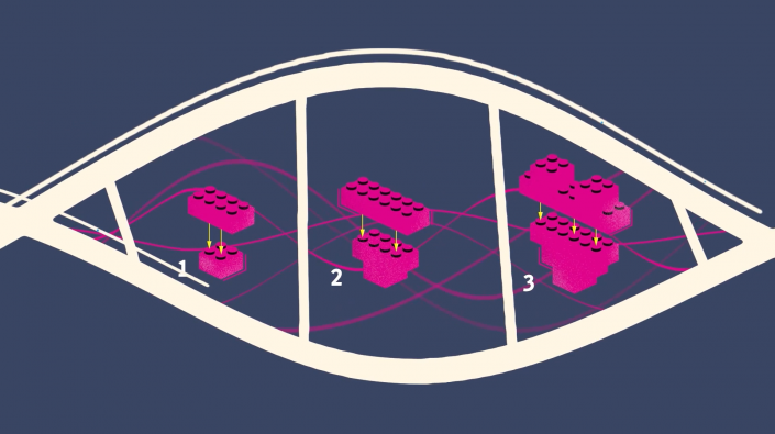 Fuchsia lego blocks seen on a blue background in between DNA strands