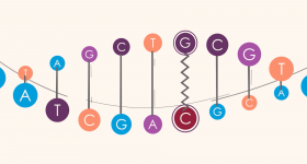 Image of strand of DNA with base pairs in colors