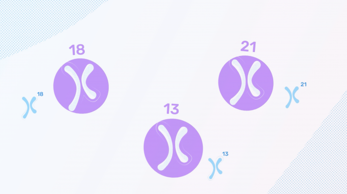 Purple circles indicating chromosomes seen on a light blue background